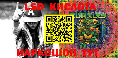 индика Новодвинск