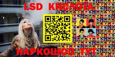 индика Новодвинск
