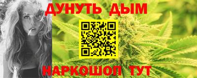 индика Новодвинск