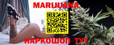 индика Новодвинск
