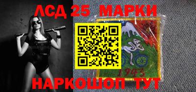 индика Новодвинск