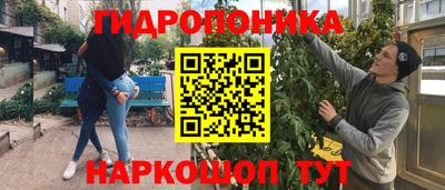 индика Новодвинск